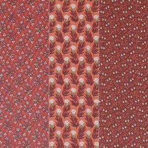 'Hollandse Tuin' (oranje)